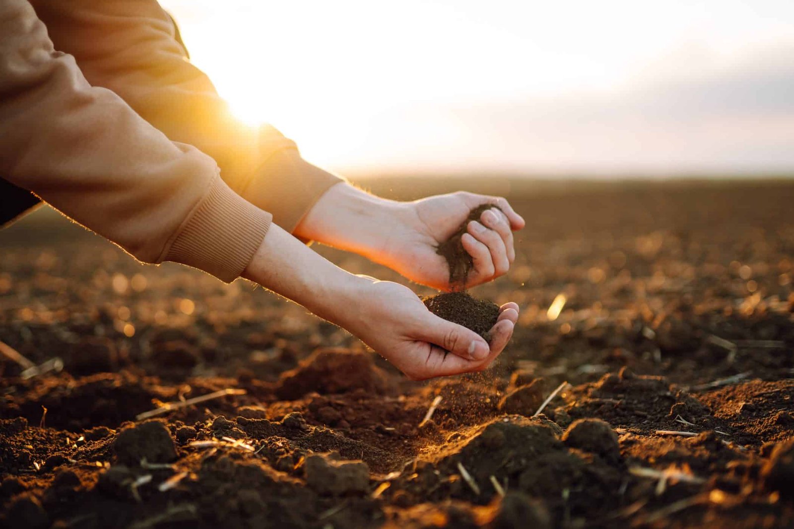 Green Horizons series: Supporting farmers towards sustainability and resilience