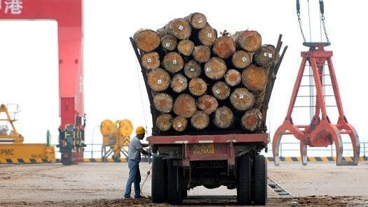 Timber