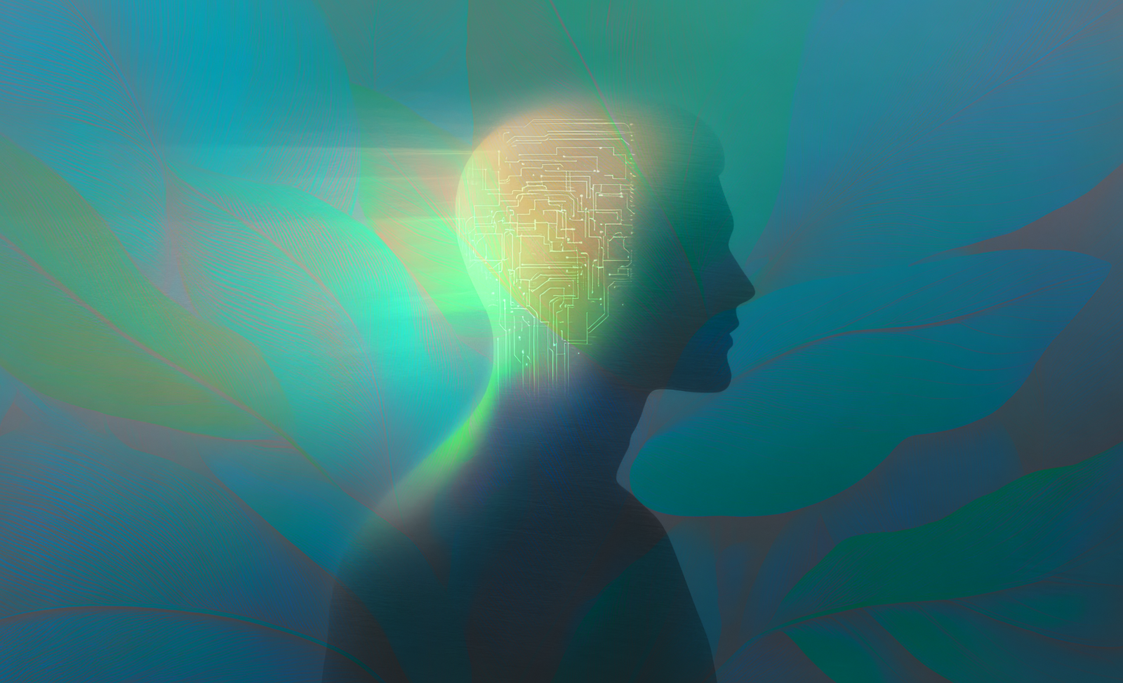 Will AI help sustainability? Experts are divided
