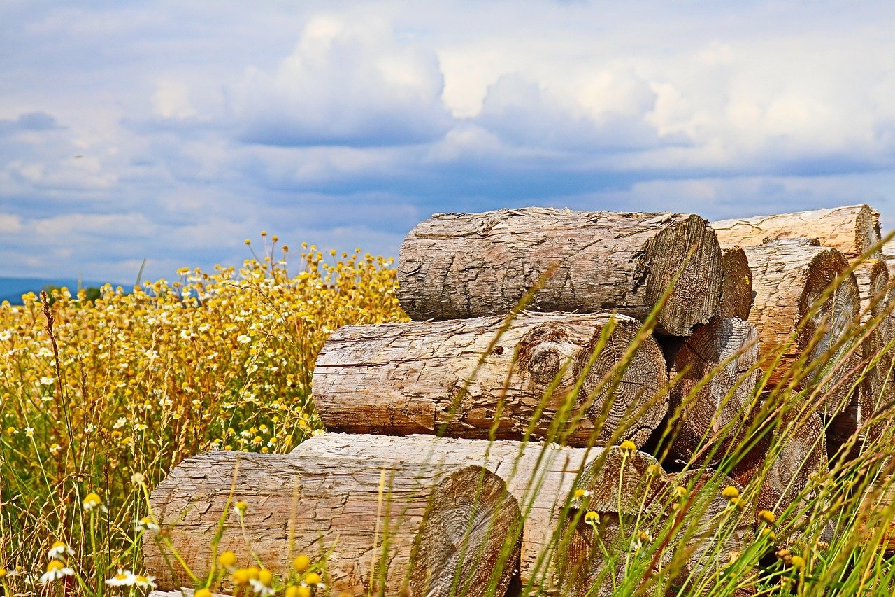 timber by pixabay