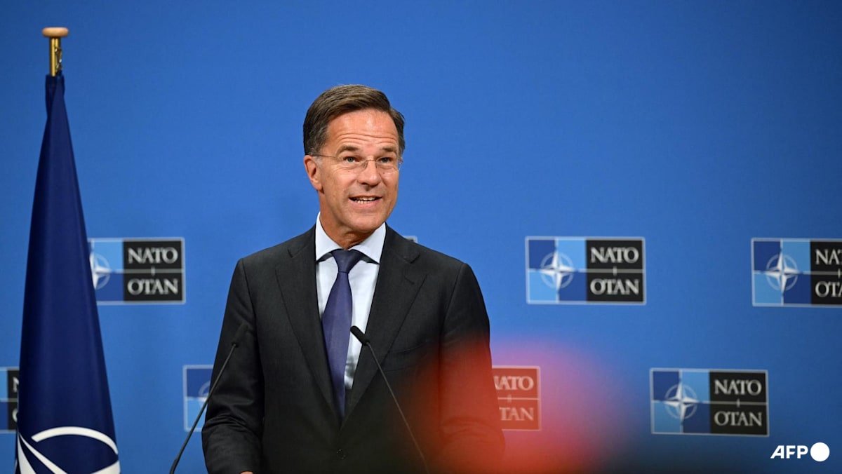 NATO chief expects 'clarity' soon on Europe's contribution to Ukraine guarantees