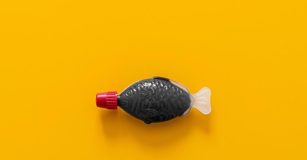 Goodbye, soy sauce fish! | Article
