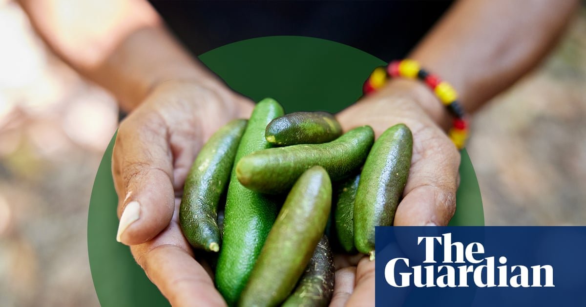 Flavour of the month: why edible natives make a delicious sustainable choice for home gardens | Australian food and drink