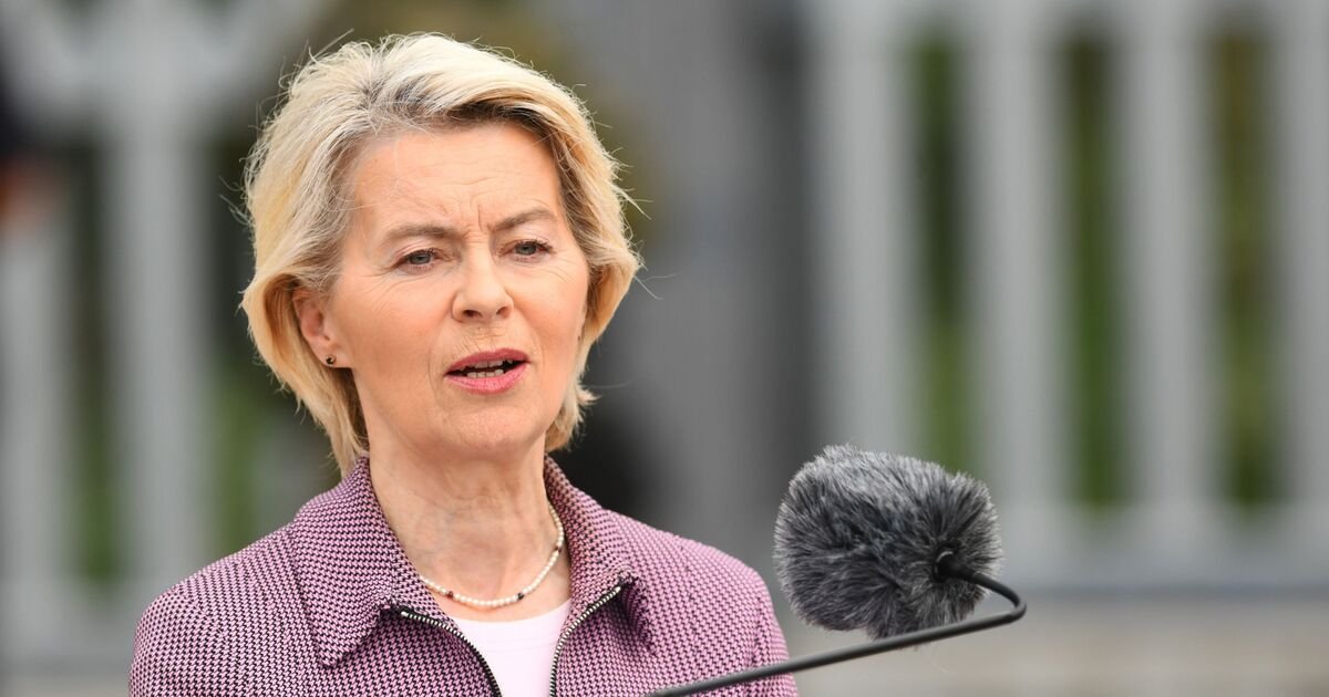 EU leader's plane hit by suspected Russian jamming technology while in-flight - World News - News