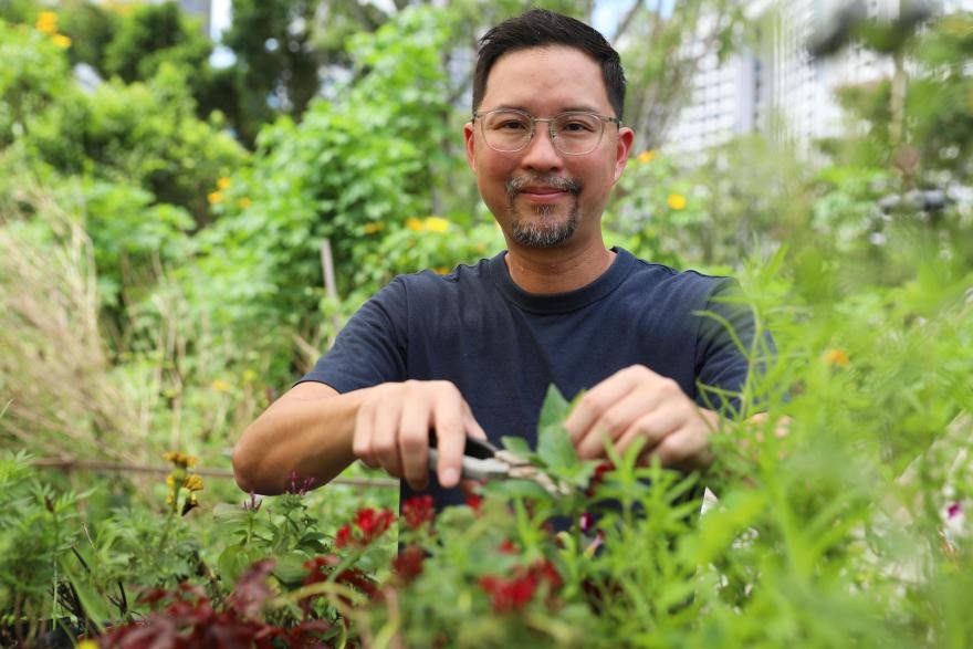 ‘Moderator in nature’: Edible Garden City’s Bjorn Low wants to sow green ideas that will outlast him, Sustainability Impact Awards