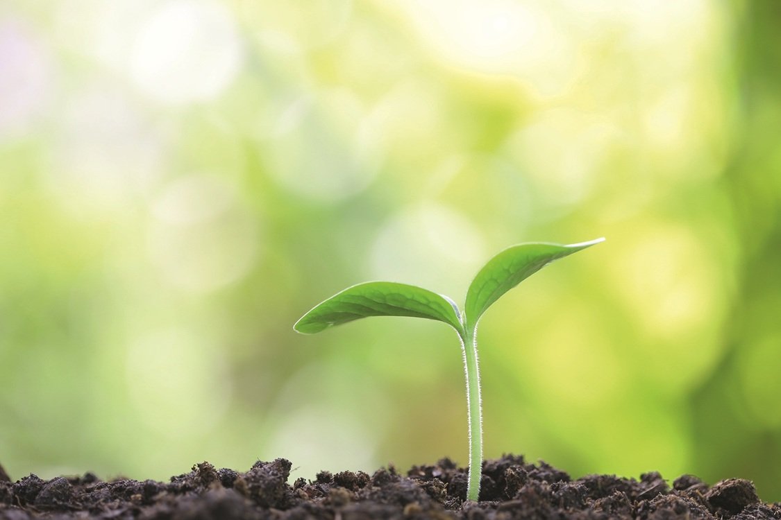On the rise: bio-based coatings market