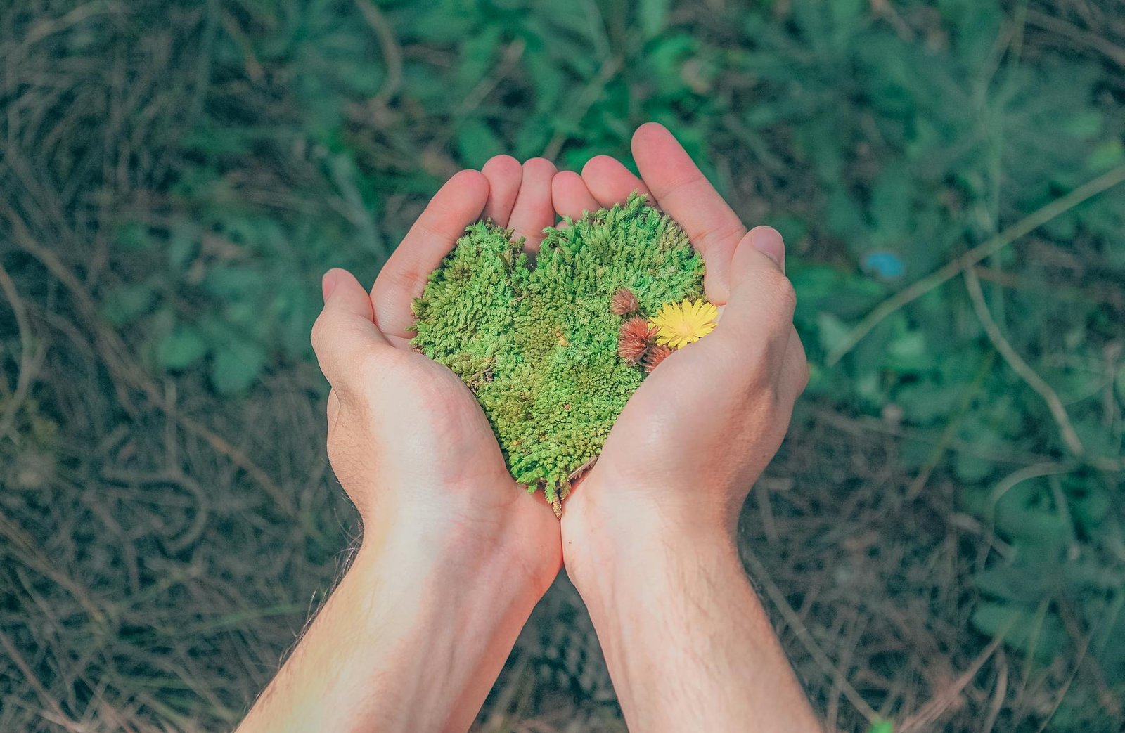 cover Reinventing industry: carbon capture technologies lead the charge against climate change