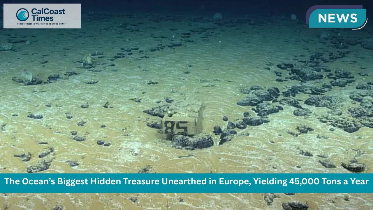 The Ocean’s Biggest Hidden Treasure Unearthed in Europe, Yielding 45,000 Tons a Year