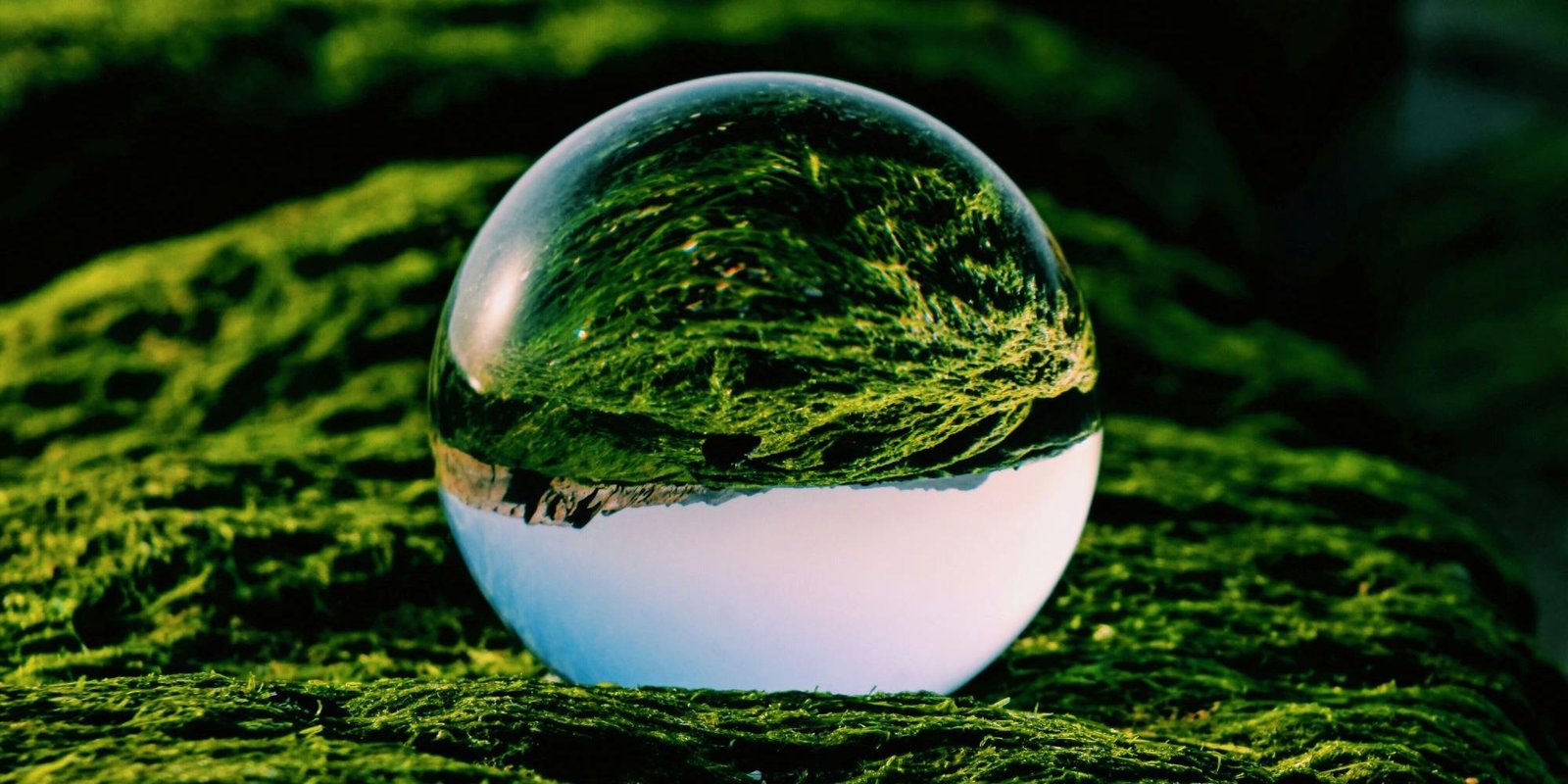 A journalist's guide to reporting on ESG and the geopolitics of sustainability