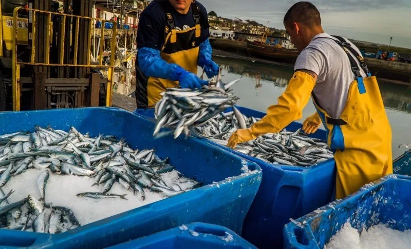 Morocco Secures Official U.S. Oceanic Certification, Ensuring
