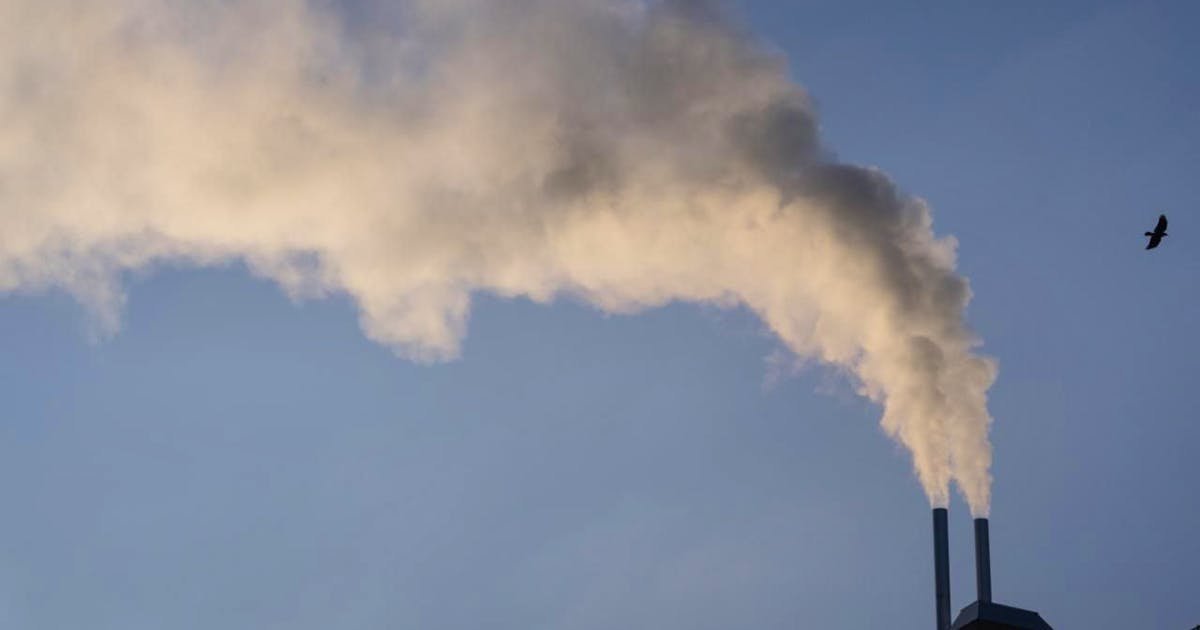 Natural science: Europe's environment is not in good shape according to the EEA