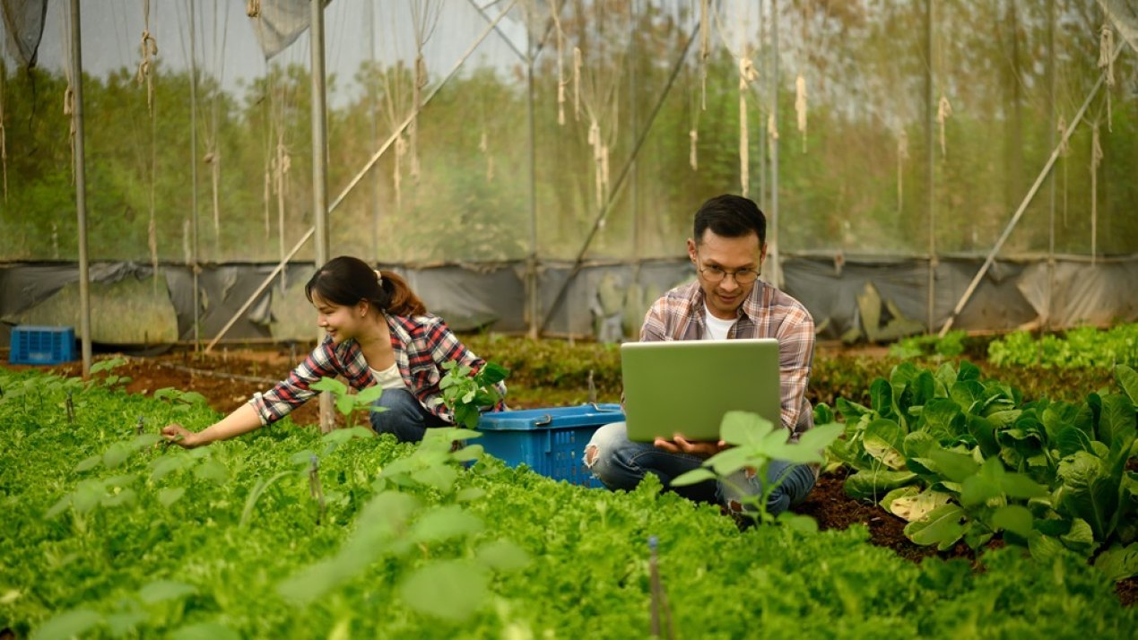 Global Digital Agriculture Patents Surge