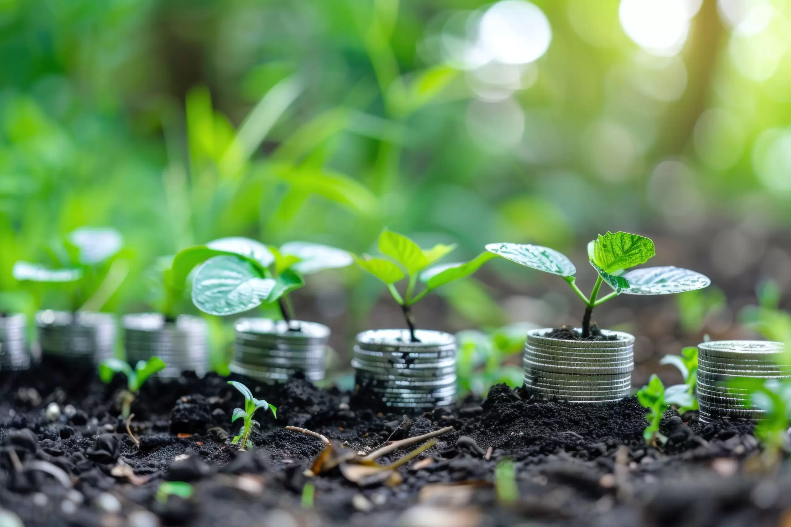 EU to boost financial literacy and investment opportunities for citizens