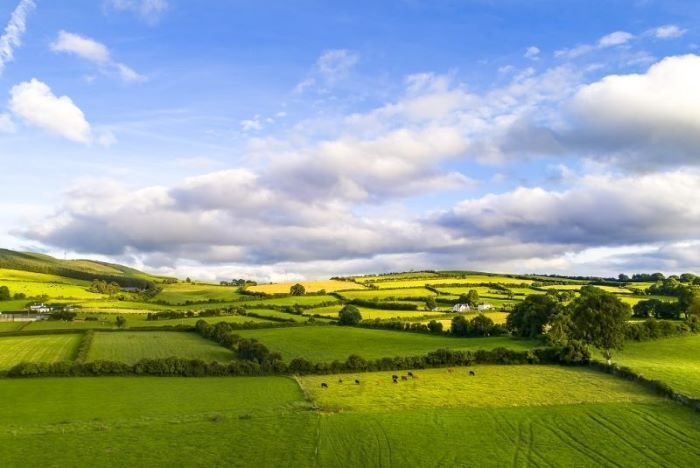 Ireland's Dairy Export To Asia Tops EUR440 Million In 2024