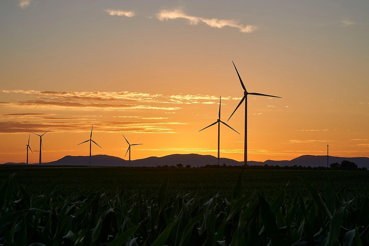 Ørsted Raises €8B in Discounted Share Sale for US Wind Projects - News and Statistics