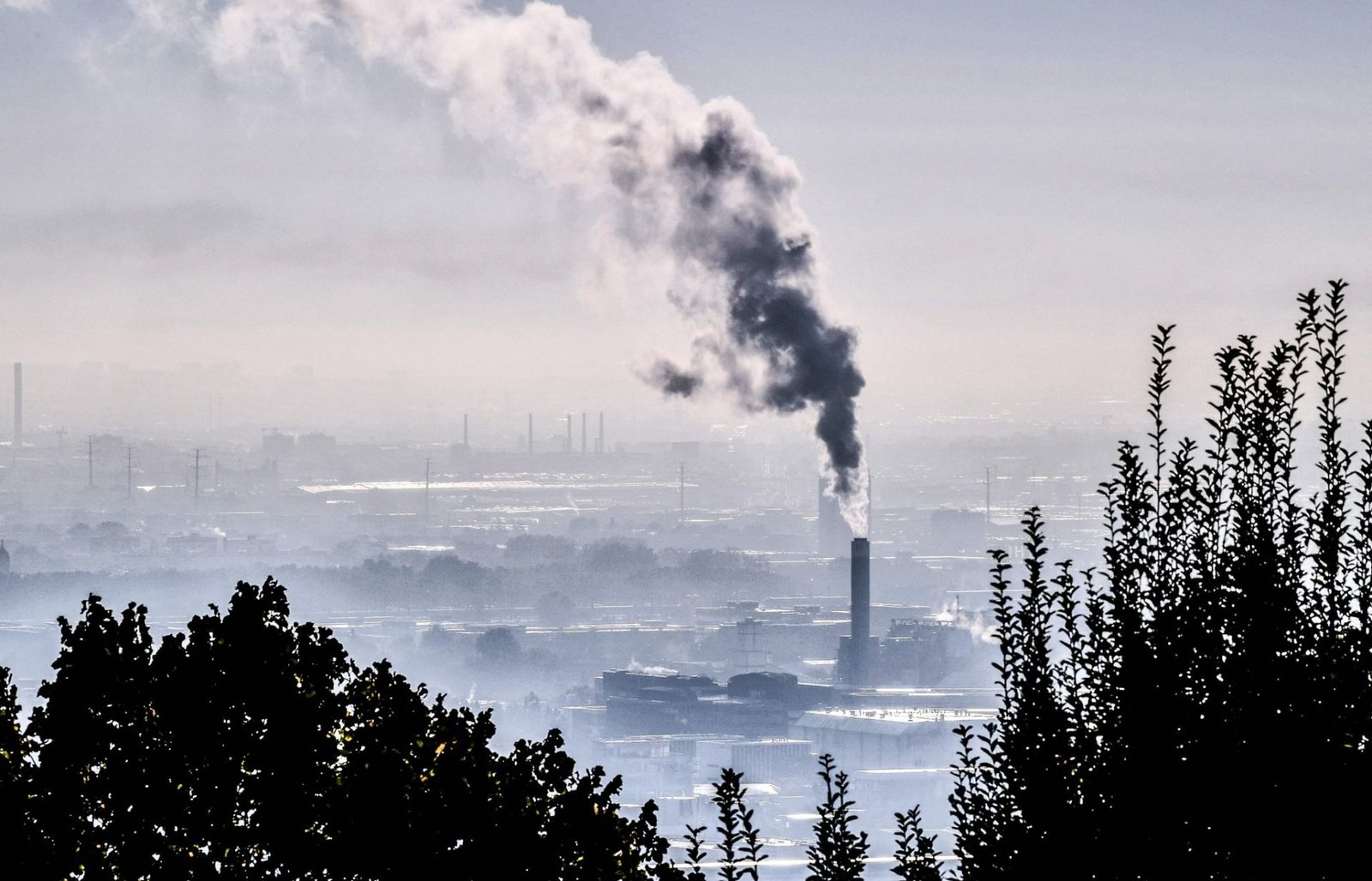 EU agency warns state of Europe’s environment is ‘not good’