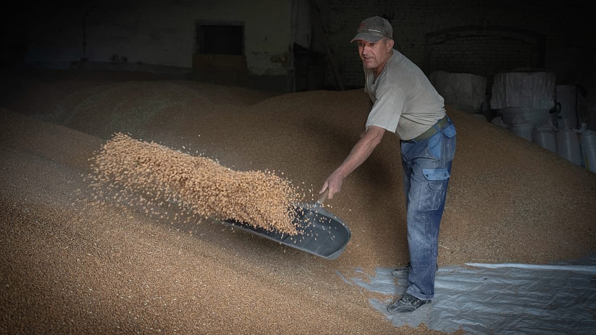 EU inks agriculture deal with Ukraine even as political divisions remain over vast exports