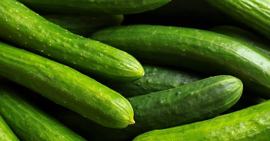 Saveggy launches plant-based coating in Sweden | News