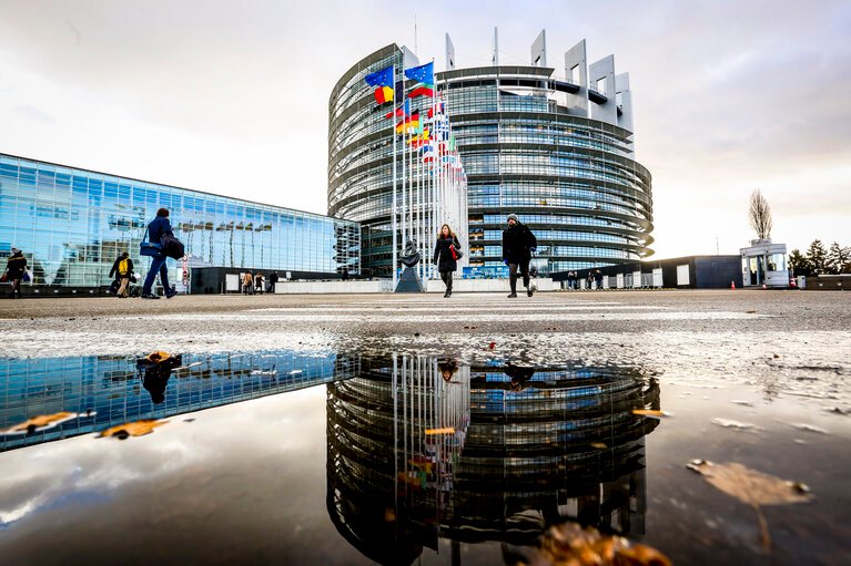 European Parliament majority backs fresh cuts to corporate sustainability law