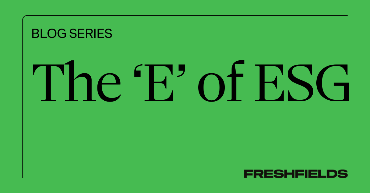 The ‘E’ of ESG: Sustainable products