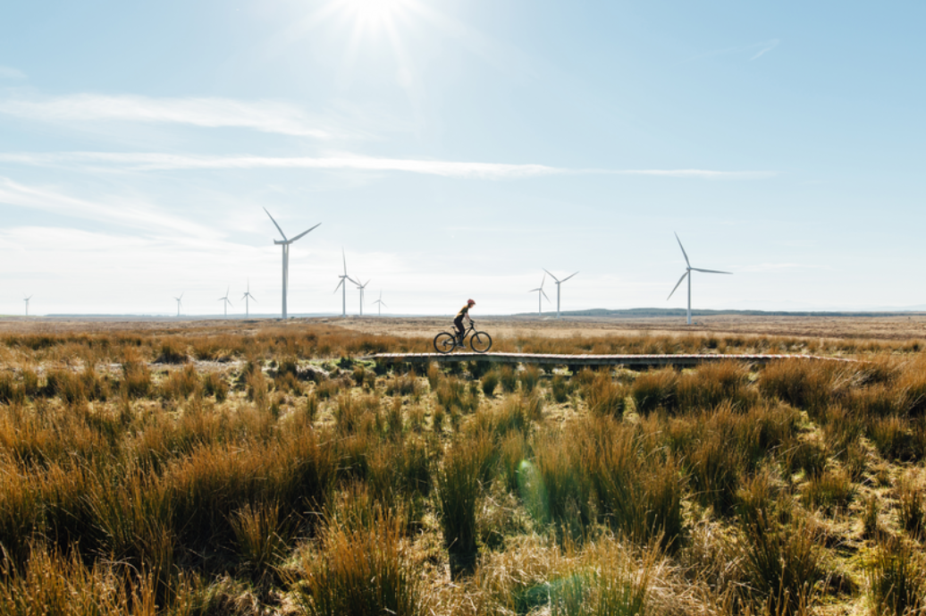 Untangling Europe’s energy market through the lens of combined heat and power