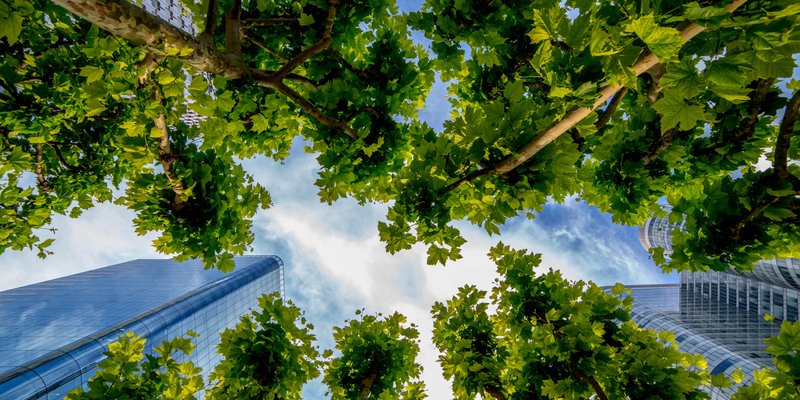 EU Sustainability State of Play Sustainable Finance