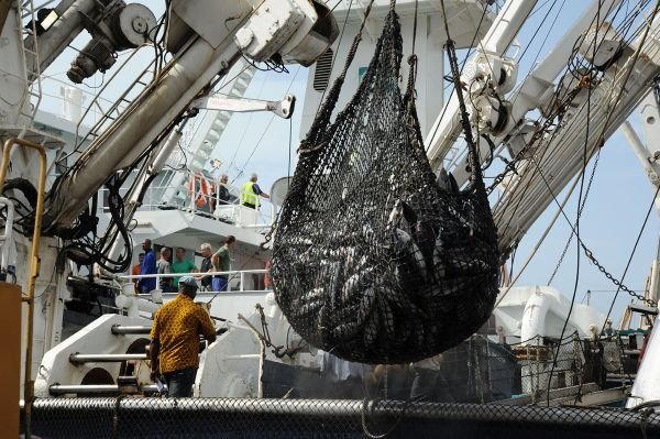 Parliament confirms tuna fisheries protocol between EU and Côted'Ivoire