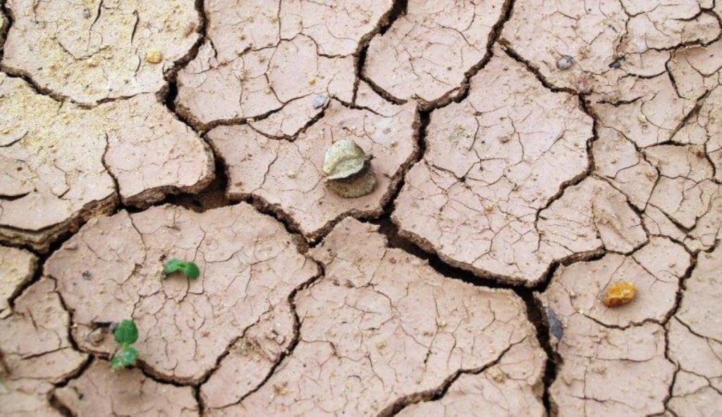 Europe’s AI Ambitions Clash with Looming Water Crisis
