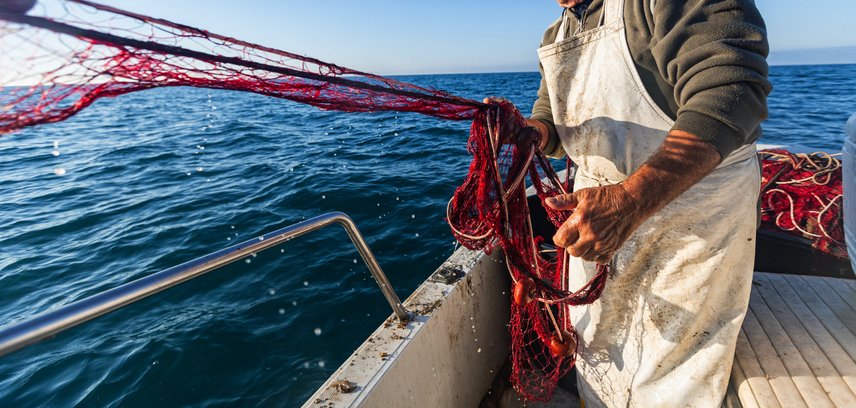 Cities power Europe's Ocean Pact, driving local marine solutions
