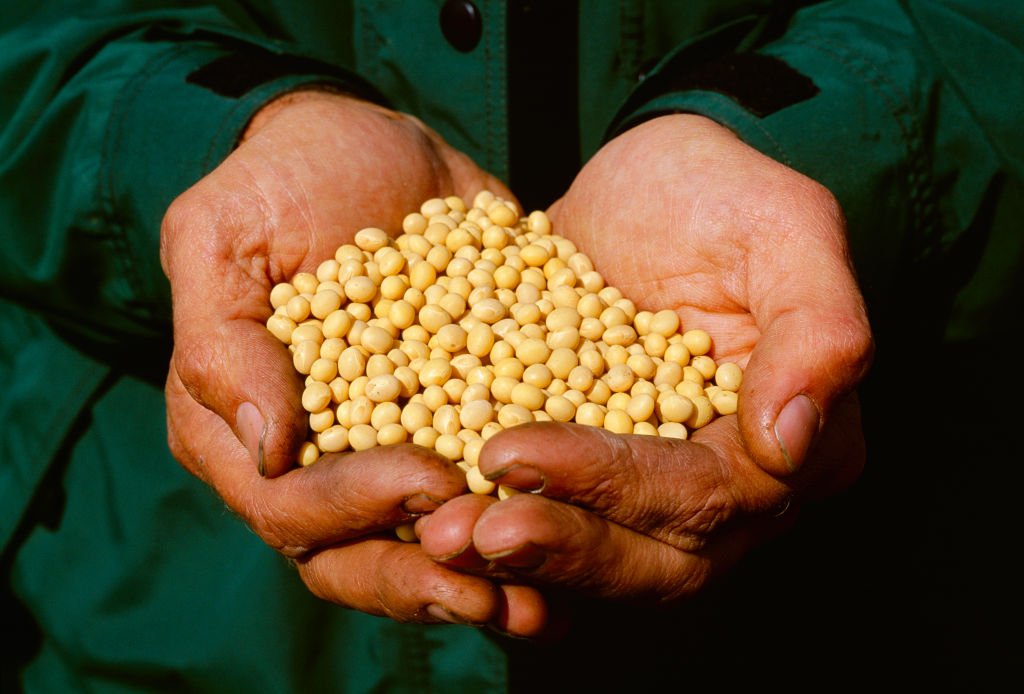 Agriculture
