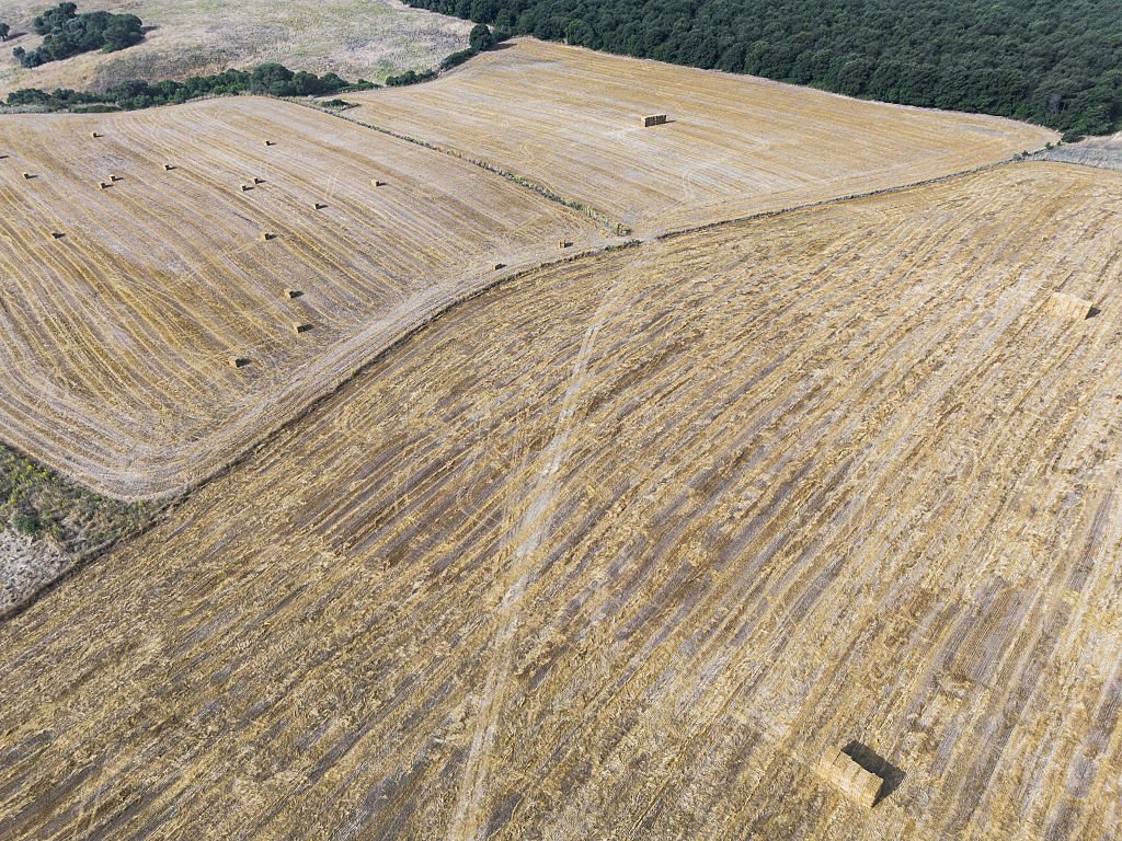 Farmland after cutting and harvesting hay