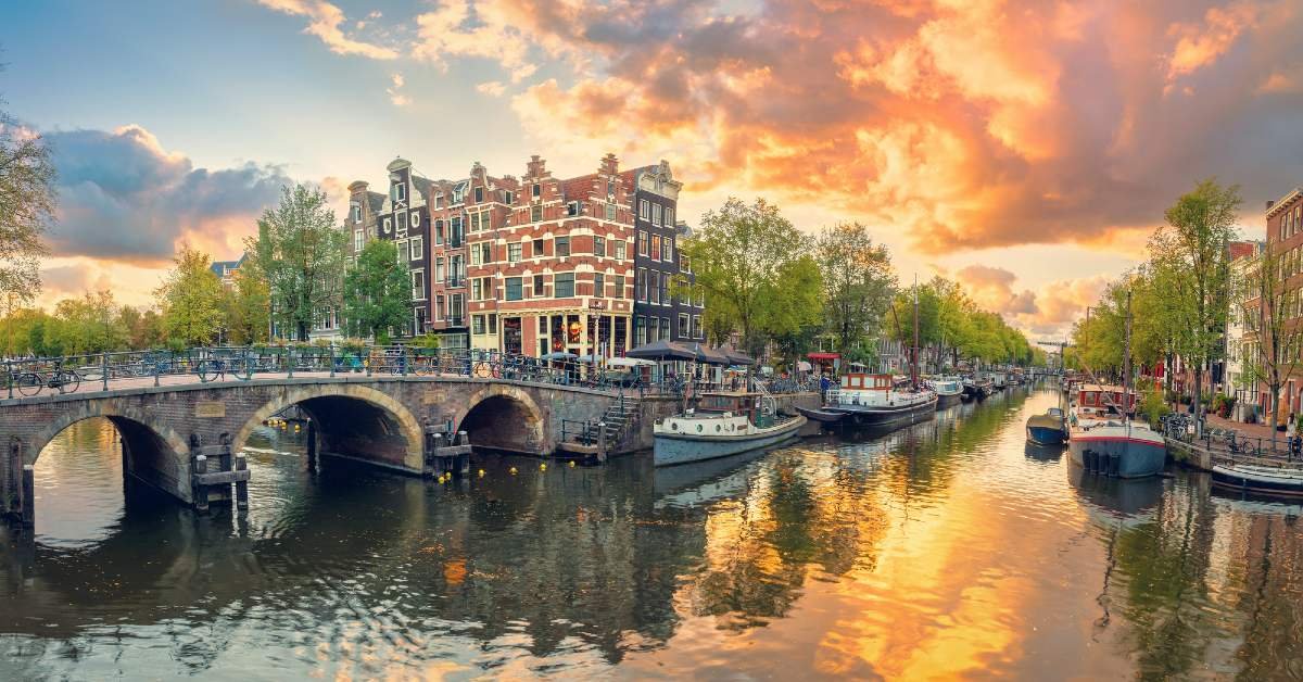 Promising Dutch startups eye relocation abroad: DSA survey