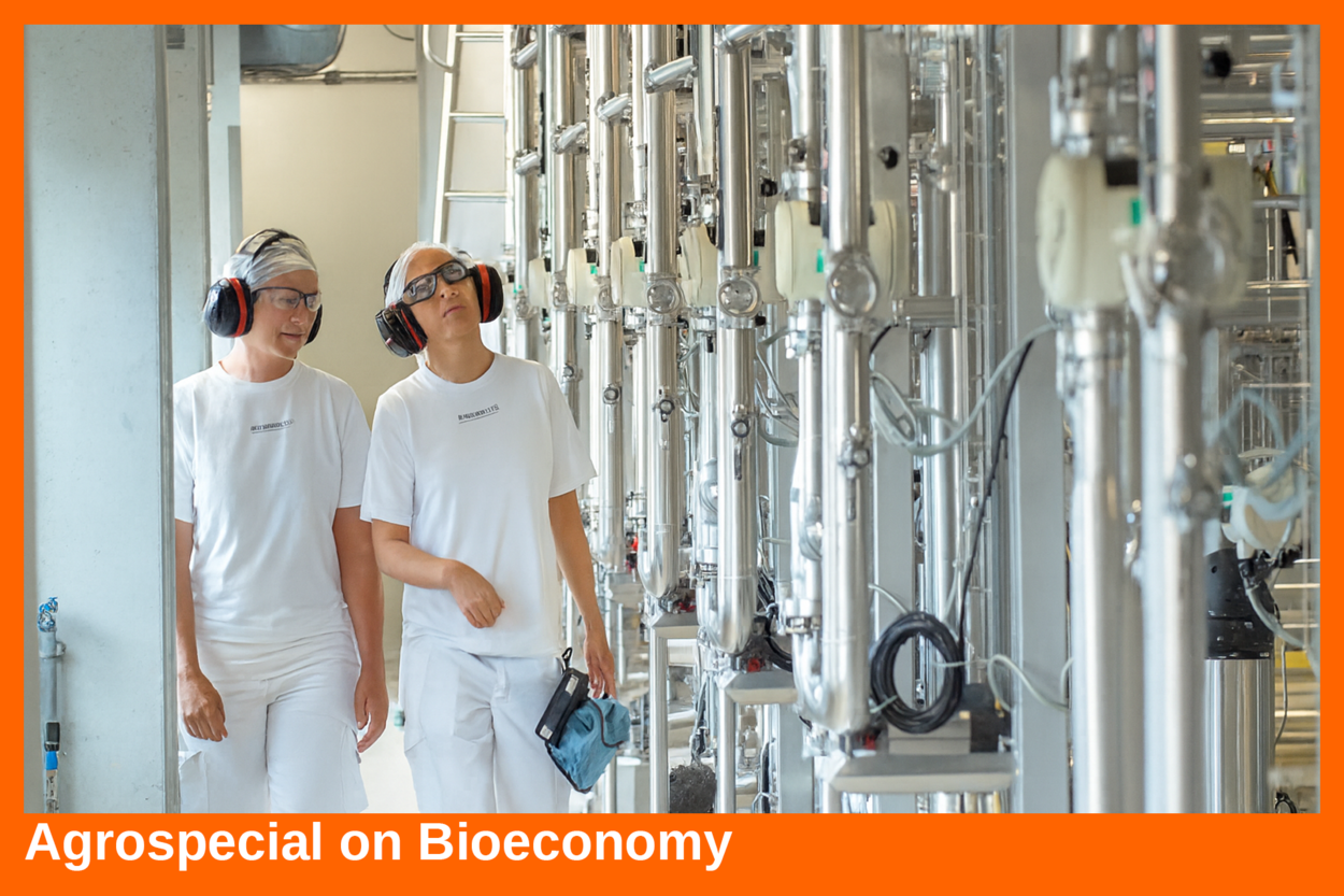 From Copenhagen to the Hague: building Europe’s bio-based future | Nieuwsbericht