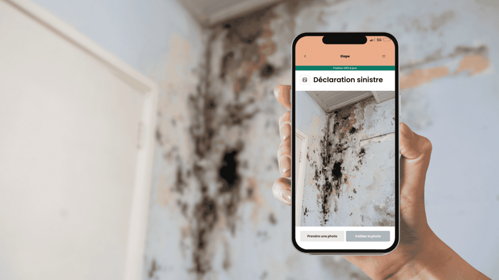 Certificall raises €1M seed to strengthen its position in the European market