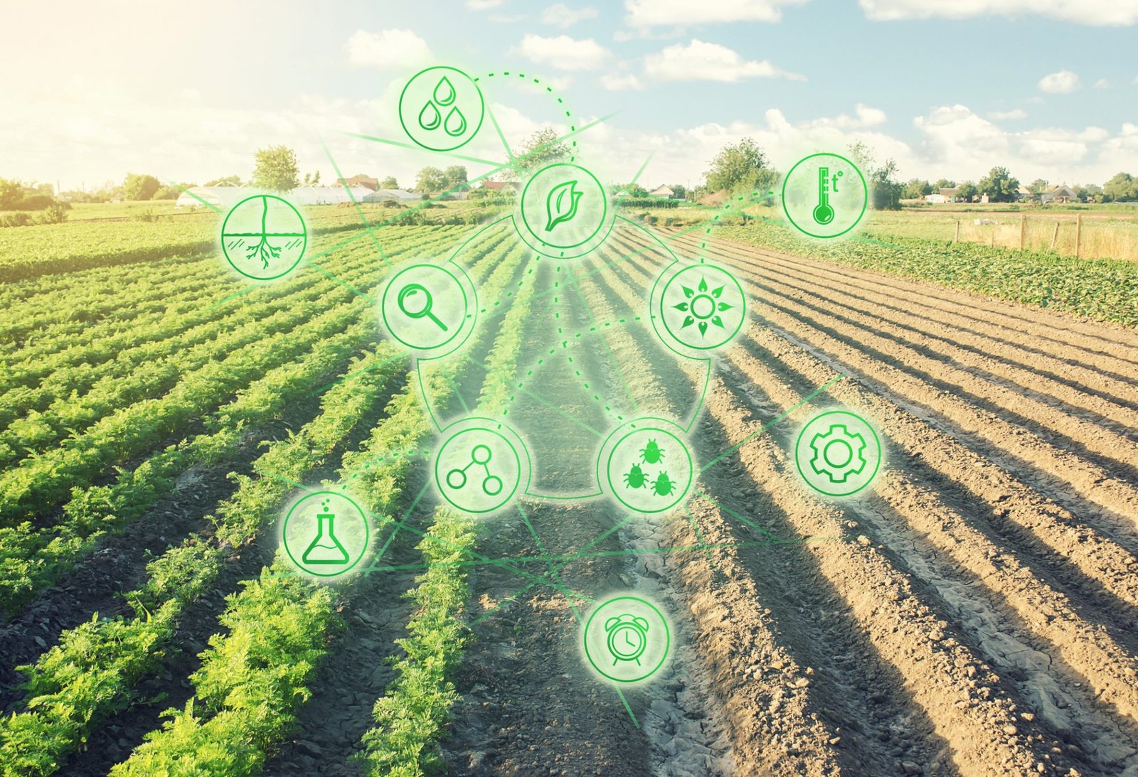 Futuristic innovative technology pictogram on a Half planted field with and second part is ready for sowing. Converting to agricultural land. Land cultivation. European organic farming.