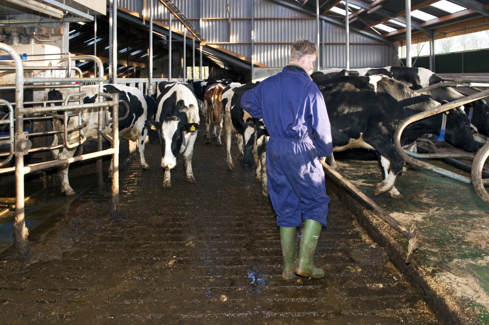 A new dairy superpower rises