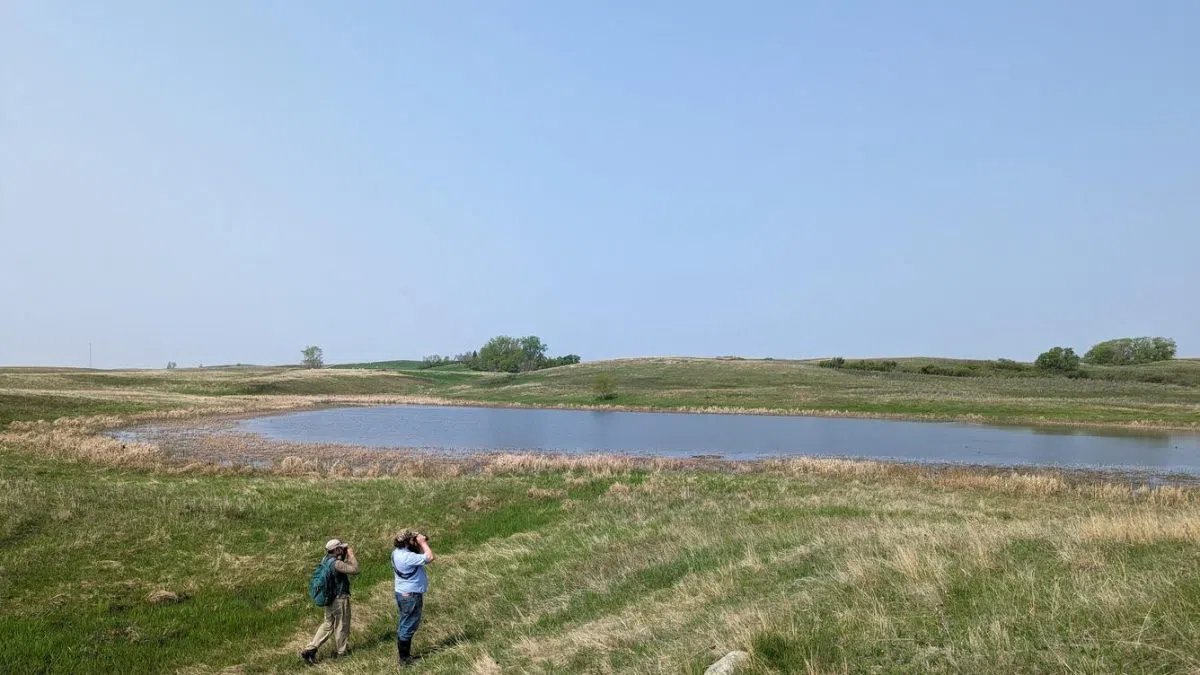 North Dakota wildlife research center facing job cuts | The Mighty 790 KFGO