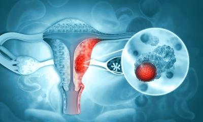 visceral fat may drive aggressiveness • healthcare-in-europe.com