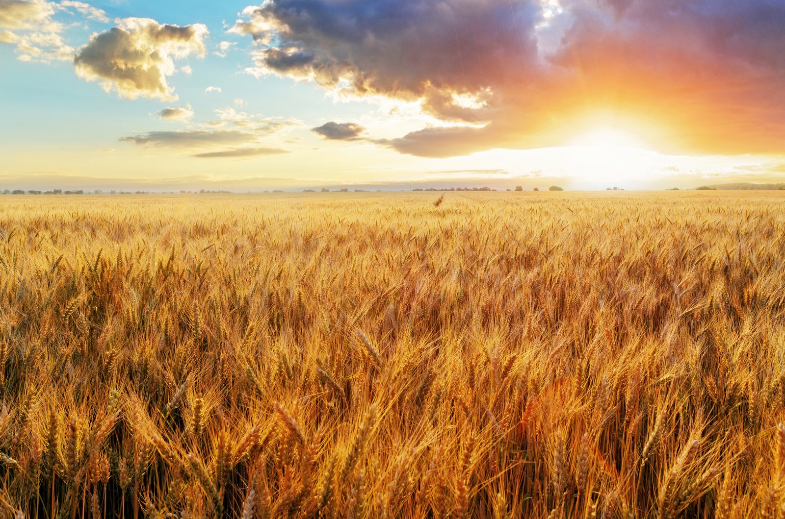EU Organic Awards Honour Europe’s Leaders in Sustainable Food