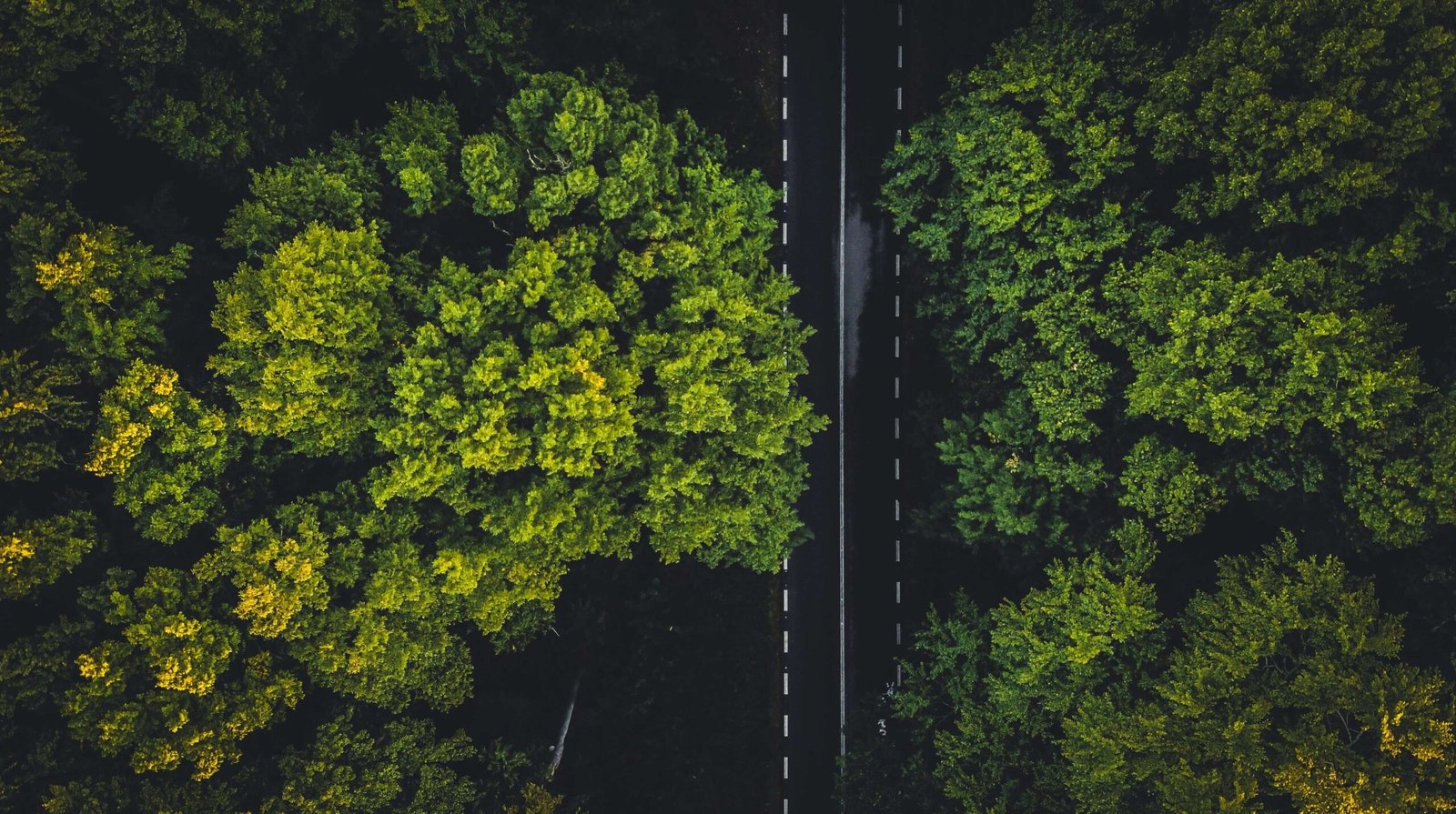 The Top 10 Sustainability Startups in France Pioneering a Greener Future