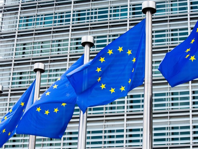 Concerns of the Commission regarding China’s announcement to introduce sweeping controls on rare earth exports