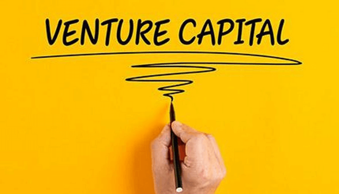 Guide to startups targeting venture capital