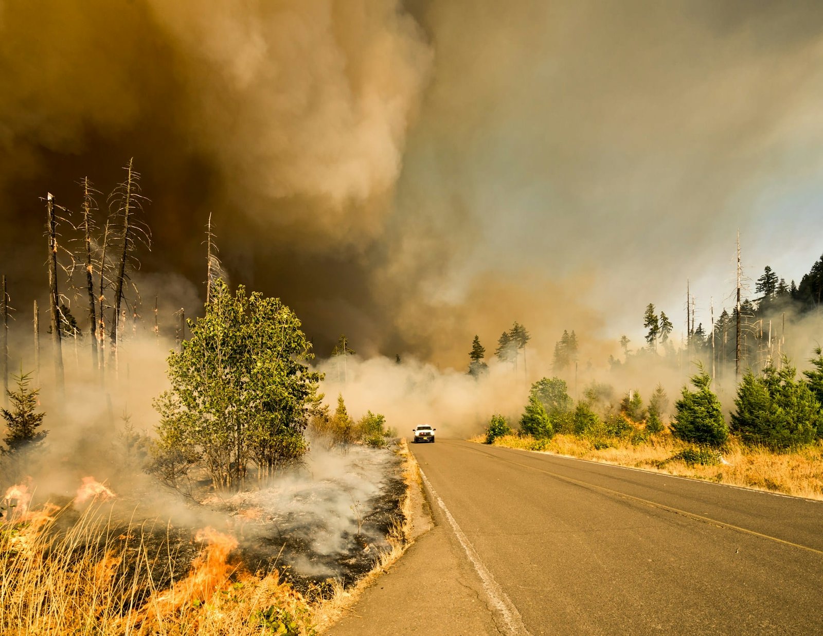 ESG News regarding using AI to prevent wildfires, Ferrari’s deal with Shell, plastic waste job creation in UK, and China’s 30% increase in solar power use