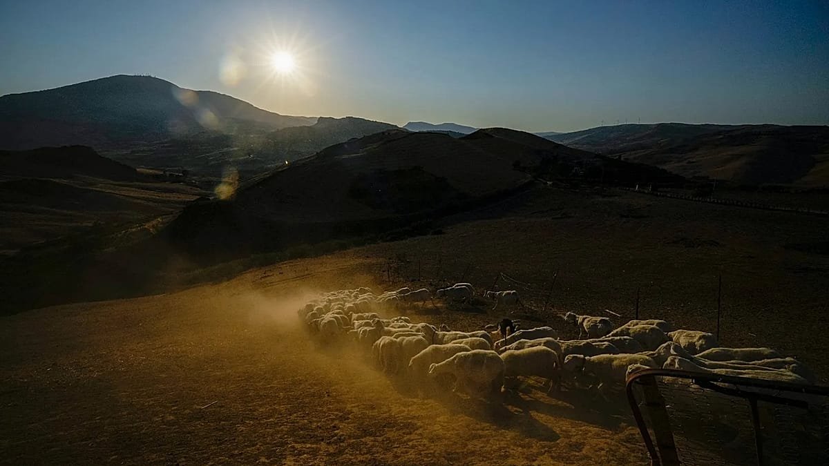 European Commission comes up with plan to get more young people into farming