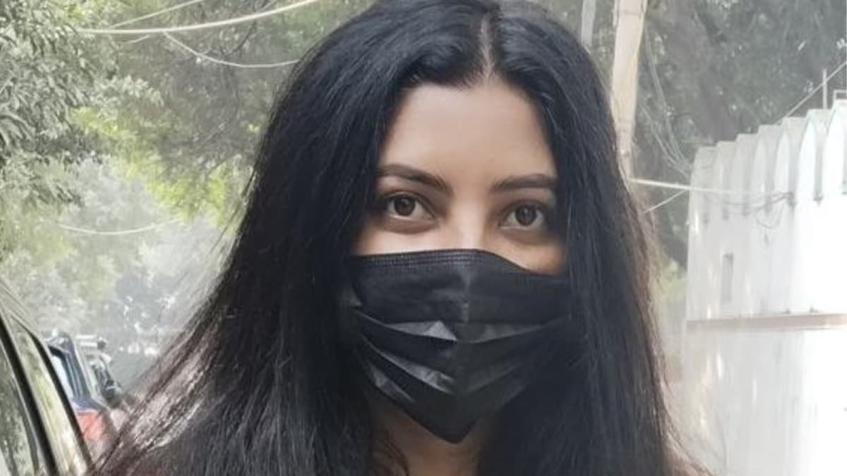 Bengaluru Startup Founder Wants To Brainstorm Ideas To Fix Delhi Pollution, Locals Say ‘This Mask Is No Good. Use N95’ | Viral News