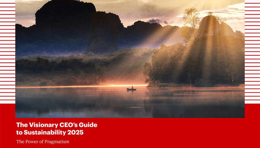 For CEOs, sustainability is now a business priority – not just a moral transition