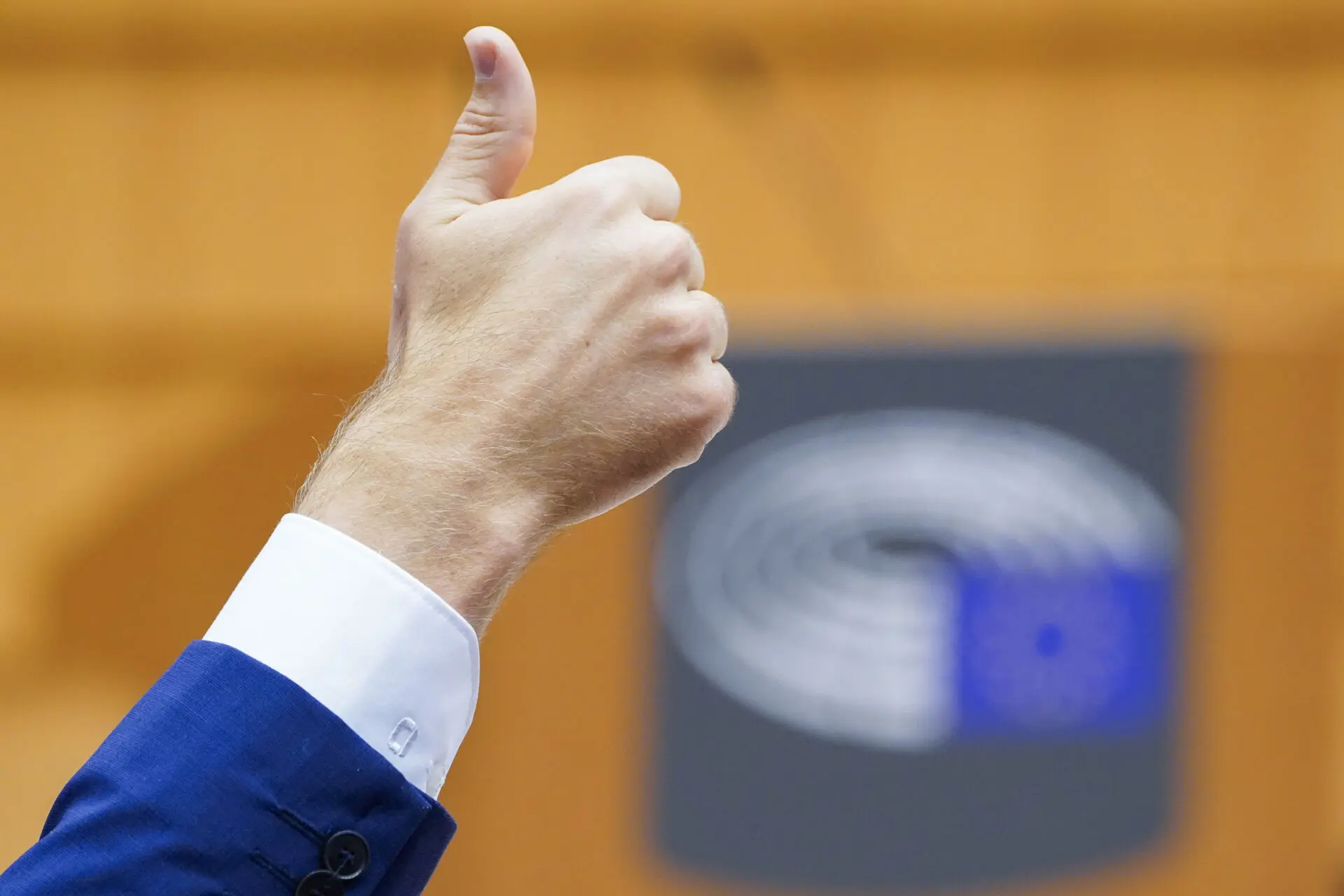 A political realignment that puts EU green policy at risk – the sustainability vote is changing the game – CEPS