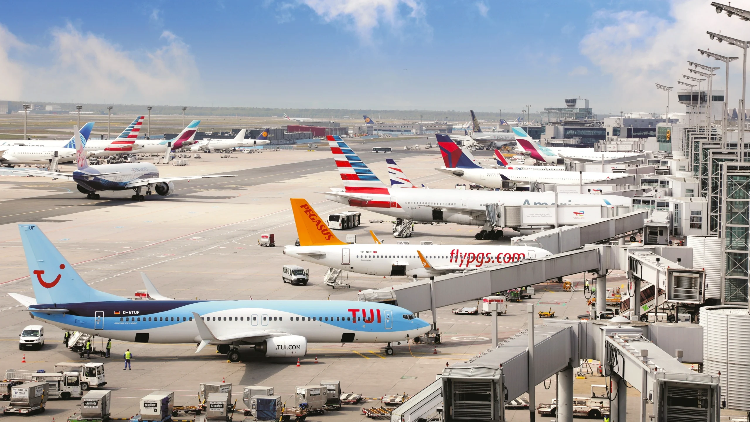 21 European Airlines Pledged to Stop Making Misleading "Greenwashing" Claims