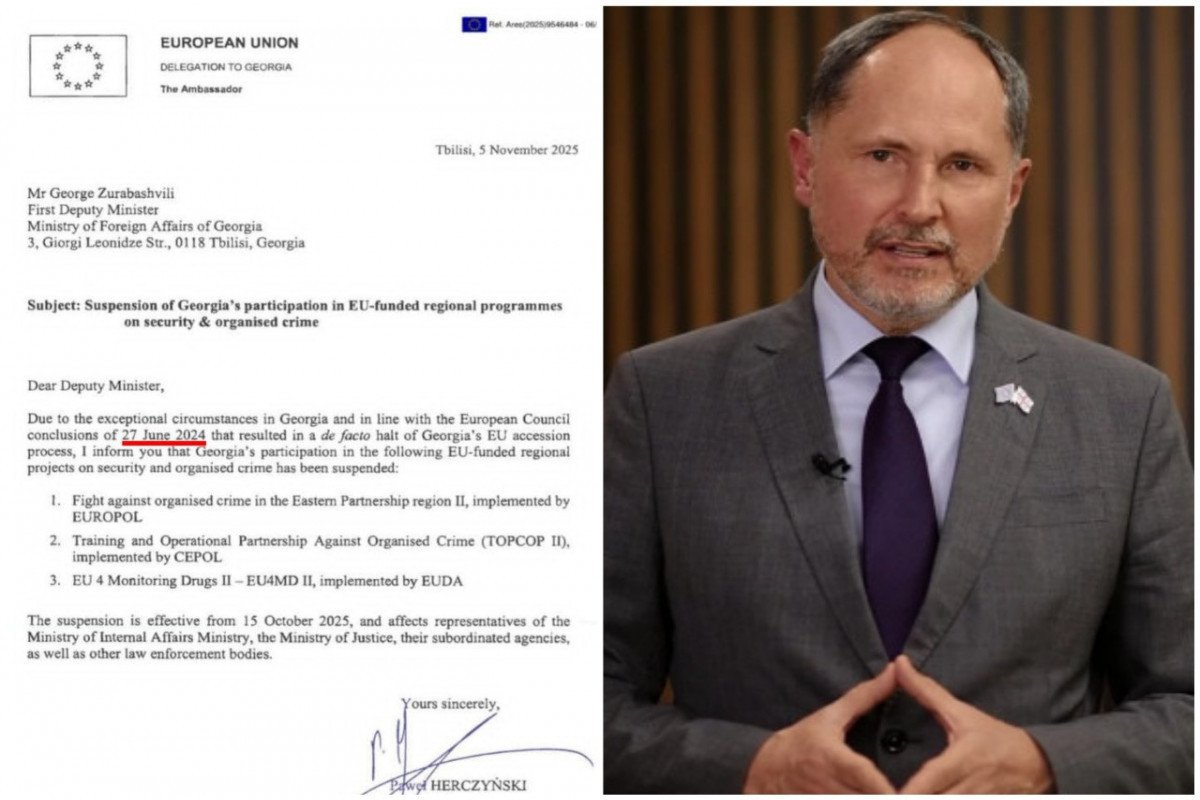 EU has suspended Georgia's European integration process