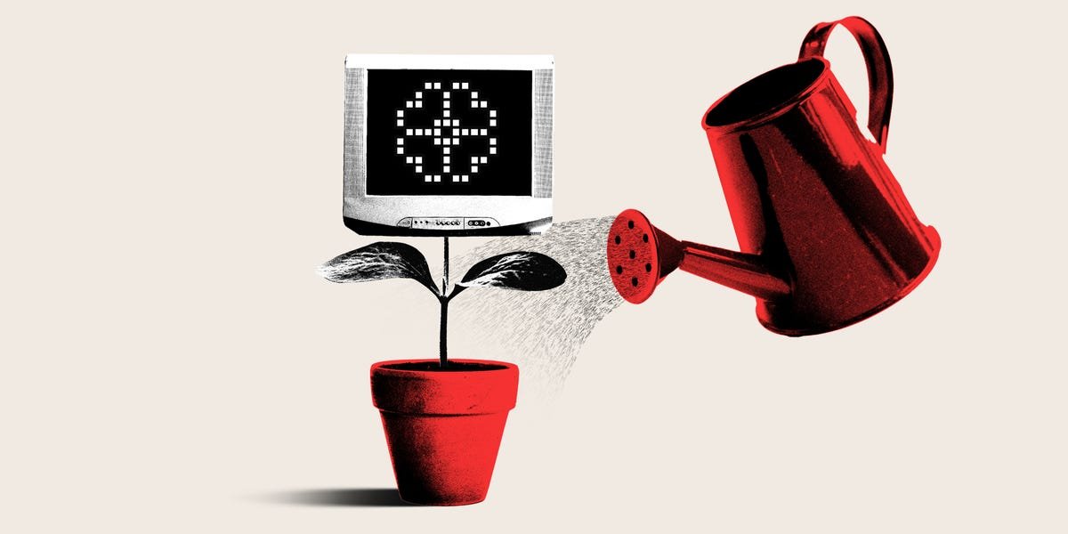 New Media Startups Are Building to Thrive in a 'Google Zero' Era